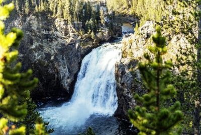 Upper Falls Yellowstone River 2024